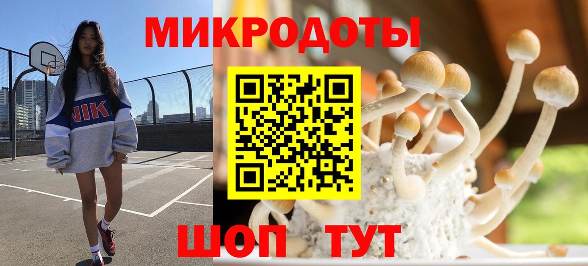 Галлюциногенные грибы ЛСД  Вход с VPN  Гусиноозёрск  Галлюциногенные грибы Psilocybine cubensis 